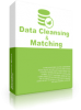 Data Cleansing & Matching Standard