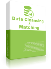 Data Cleansing & Matching Enterprise